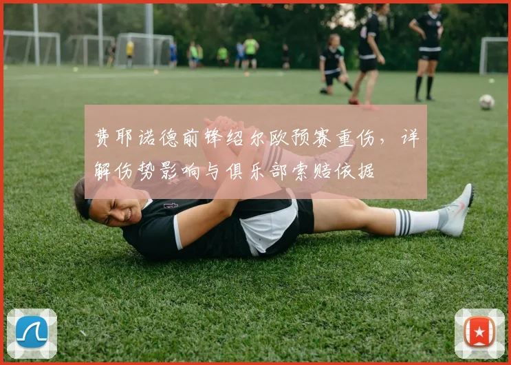 费耶诺德前锋绍尔欧预赛重伤，详解伤势影响与俱乐部索赔依据
